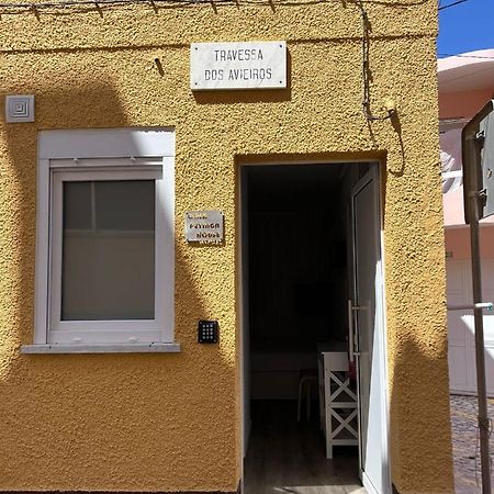 Casas Dona Emilia Apartment Vieira de Leiria Luaran gambar